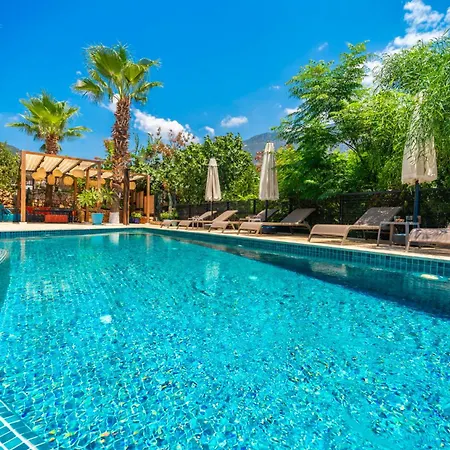 Villa Eco Seray *